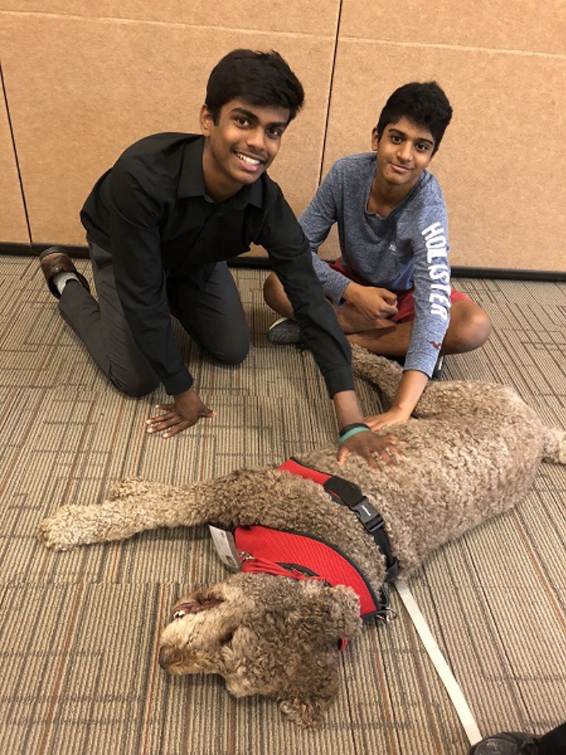 Teen Space Novi Library