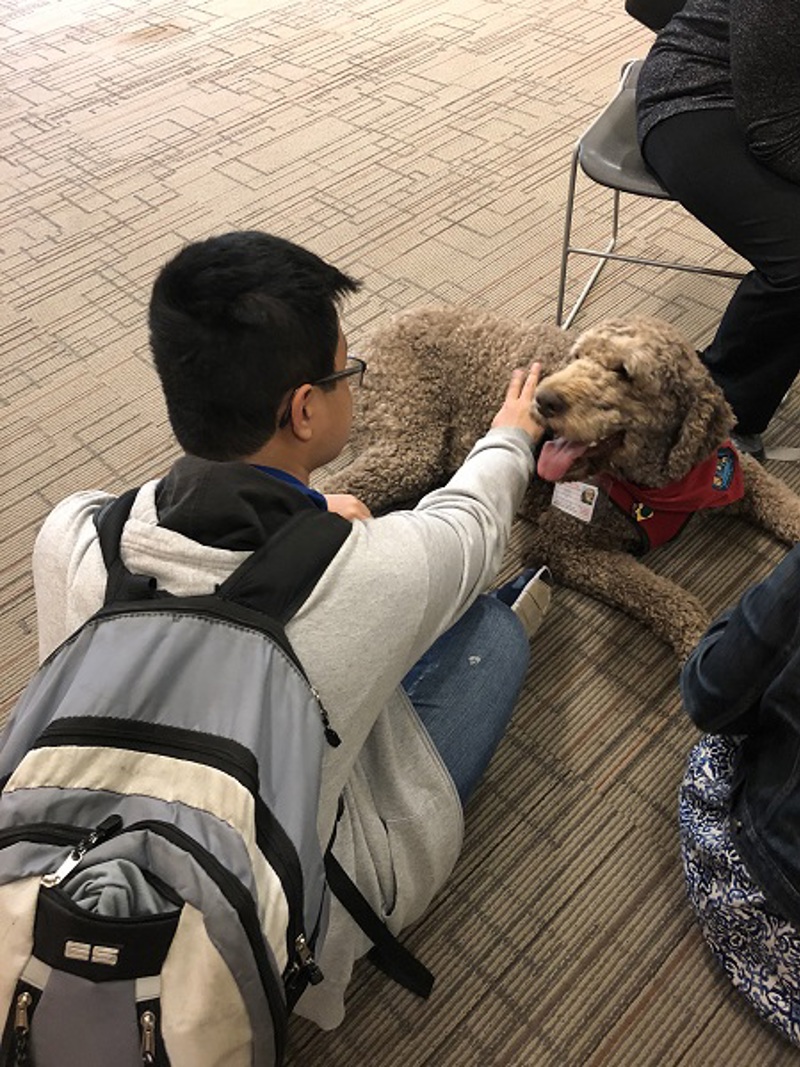 Teen Space Novi Library